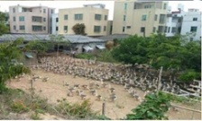  生態環境部：水源地專項督查第二批環境違法問題45個