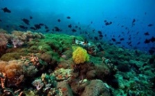  依法保護海洋生態環境 打好污染防治攻堅戰